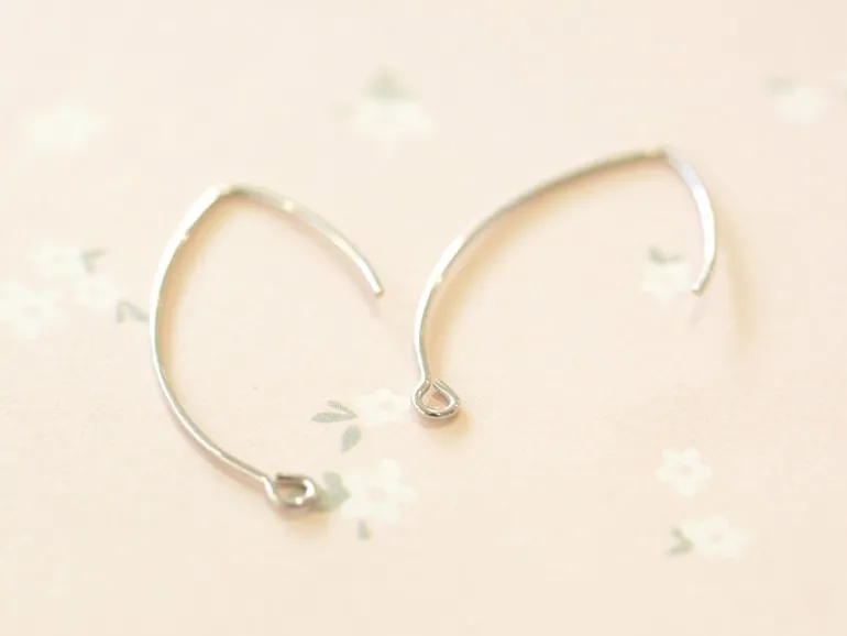 1 paire de boucles d'oreilles dormeuses simples - argenté