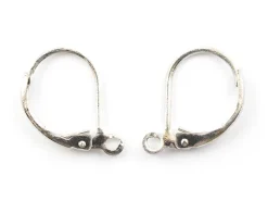 1 paire de boucles d'oreilles dormeuses argentées