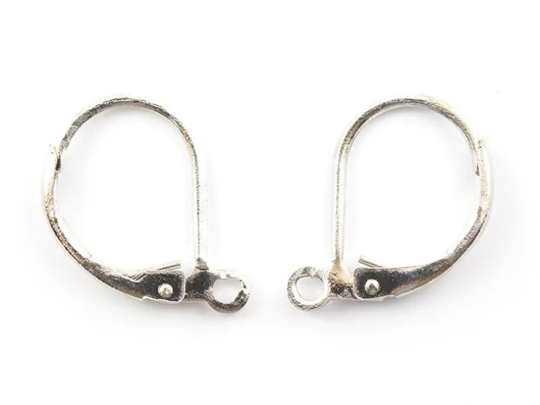 1 paire de boucles d'oreilles dormeuses argentées