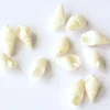 10 perles Coquillage spirale