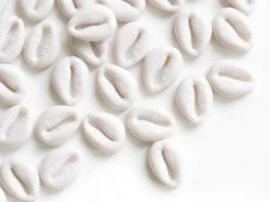 50 perles coquillages cauri en plastique - blanc