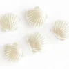 5 perles coquillages en plastique