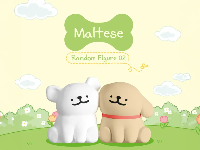 Blind box - maltese