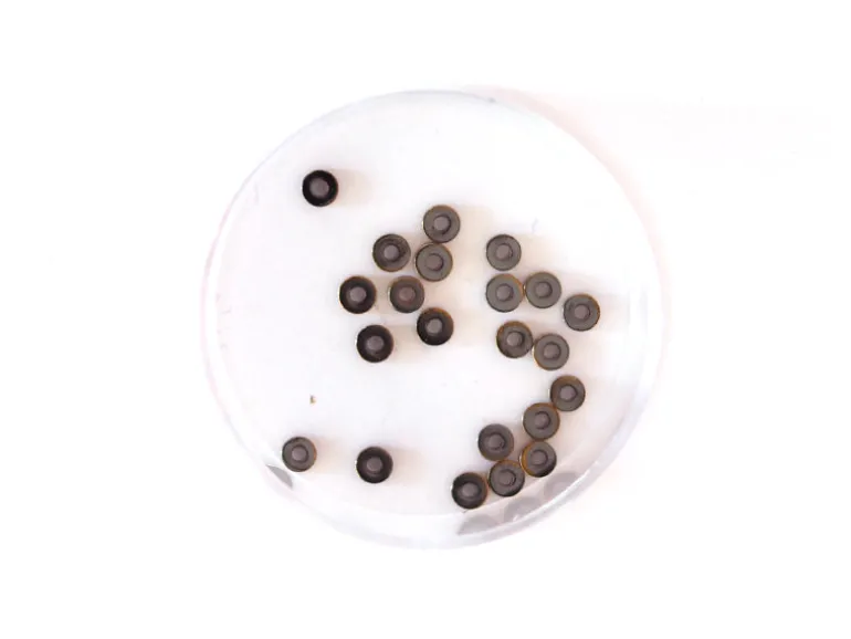 Boite de 20 perles rondelles dorées antiques heishi en hématite - 3 mm