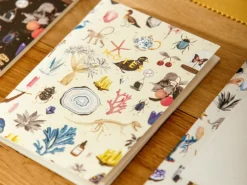 Duo de Carnets A6 Curiosity - ATWS