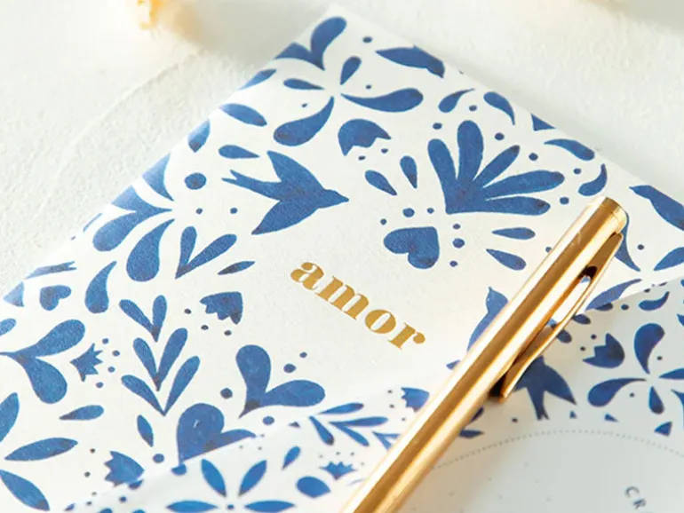 Duo de Carnets Hirondelle Swallows & Amor A6 - ATWS