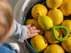 Jouet de dentition Hochet bébé Lemon le Citron- Oli&Carol