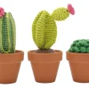 Kit crochet - Cactus