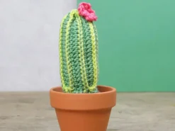 Kit crochet - Cactus