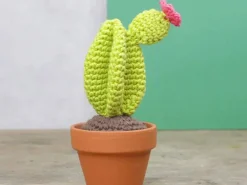 Kit crochet - Cactus
