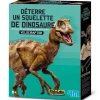 Kit DAM - Deterre ton dinosaure - Vélociraptor