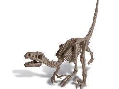 Kit DAM - Deterre ton dinosaure - Vélociraptor