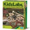Kit DAM - Déterre tes insectes - Creepy Crawly