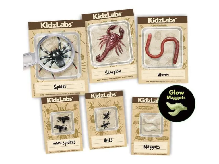 Kit DAM - Déterre tes insectes - Creepy Crawly