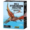 Kit DAM - Déterre ton dinosaure - Pteranodon