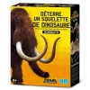 Kit DAM - Déterre ton dinosaure - Mammouth