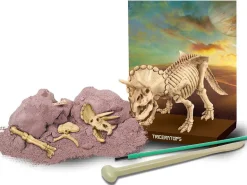 Kit DAM - Déterre ton dinosaure - Triceratops