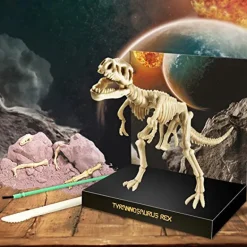 Kit DAM - Tyrannosaure Rex 22 x 17 cm