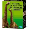 Kit DAM- Déterre ton dinosaure - Brachiosaure