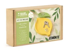 Kit DIY Jesmonite Vide-poches Citron