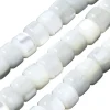 Lot de 20 perles colonnes 6 mm - Coquille de trochid - Blanc