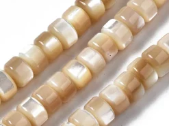 Lot de 20 perles colonnes 6 mm - Coquille de trochid naturelle