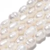 Lot de 20 perles de culture - Forme grain de riz - 6 à 12 mm