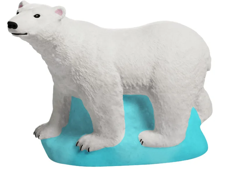 Mako moulages: Ours polaire