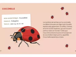 Mes insectes à déterrer - Auzou