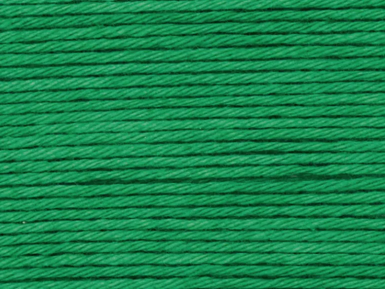 Pelote Ricorumi coton DK - Vert (49)