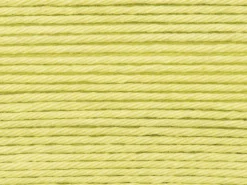 Pelote Ricorumi coton DK - Vert clair (46)