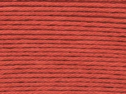 Pelote Ricorumi coton DK - Renard (25)