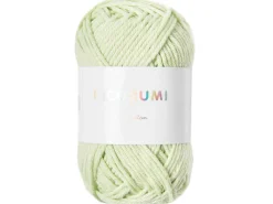 Pelote Ricorumi coton DK - Vert pastel (45)