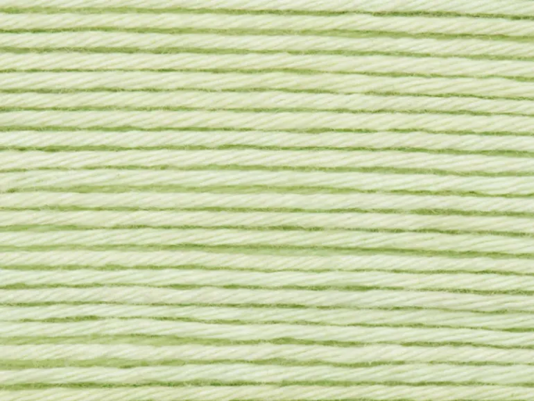 Pelote Ricorumi coton DK - Vert pastel (45)