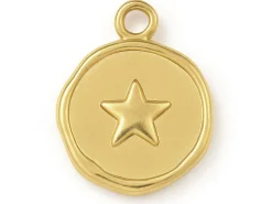 Pendentif rond plat avec étoile en acier inoxydable 304 plaqué or 18K
