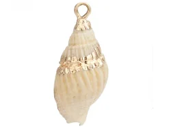 Pendentif véritable coquillage conque avec détails dorés - 23 mm