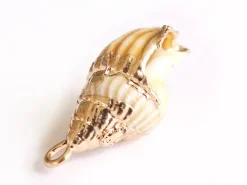Pendentif véritable coquillage conque avec détails dorés - 23 mm