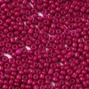 Perles de rocailles en tube - Framboise Mat - 2 mm