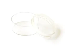 Petite boite ronde transparente
