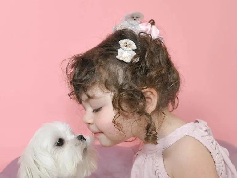 Pince à cheveux - Bichon