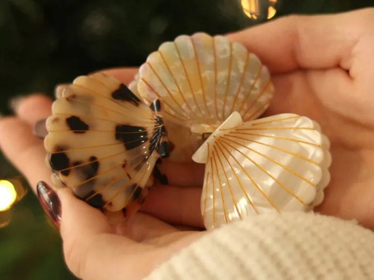 Pince à cheveux Coquillage Écaille