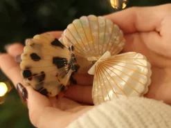 Pince à cheveux Coquillage Multicolore