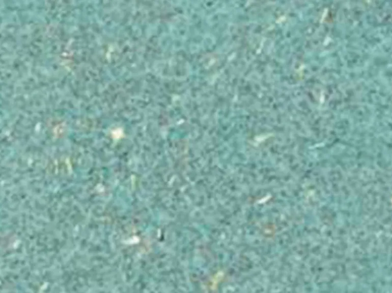 Pâte Fimo Effect Botanique Epinard